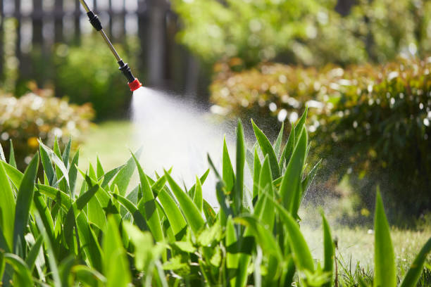 24/7 Emergency Termite Control experts in Beresford, SD